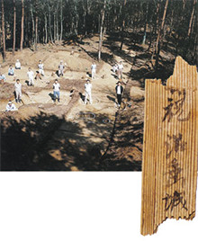 「八幡林官衙遺跡の発掘調査」の画像