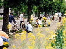 「関原地区花いっぱい運動協議会活動」の画像1