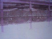 「長岡市寺泊地区に初雪が降りました」の画像