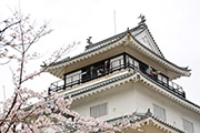 記事「桜満開の悠久山公園でお花見」の画像