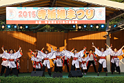 記事「歌と踊りと花火の競演！寺泊港まつりを開催」の画像