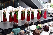 記事「長岡でハワイ気分を満喫！アロハフェスティバル」の画像