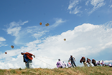 「刈谷田川で大凧合戦」の画像
