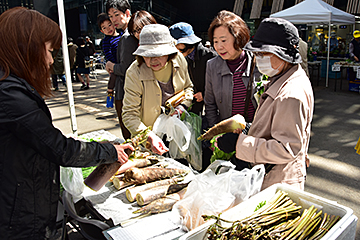 「各地域から集まった新鮮な山菜は大人気」の画像