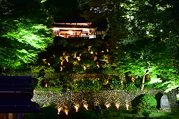 「よいた楽山苑ライトアップ」の画像