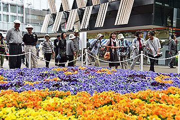 「「全国花のまちづくり長岡大会」を県内で初めて開催」の画像