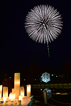「信濃川河川敷で花火を打ち上げました」の画像