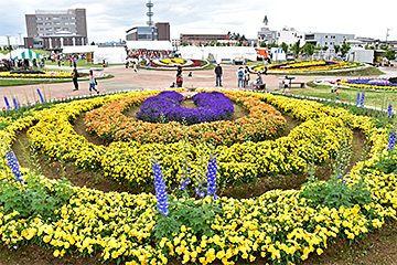 「「花いっぱいフェア」を開催」の画像