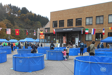 「長岡市錦鯉品評会を開催」の画像