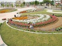 「市民花壇」の画像3