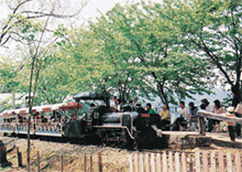 「森林公園にミニSL登場」の画像