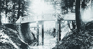 「蒼柴神社玉橋」の画像