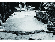 「新潟地震による地割れ」の画像