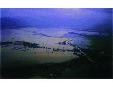 「7・13水害」の画像