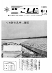 「昭和54年6月／第171号」の画像