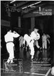 「平成5年1月／第233号」の画像