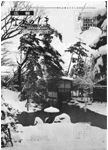 「昭和53年1月／第56号」の画像