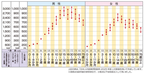 「食べる人にとって、ぴったりサイズのお弁当箱を選ぶ」の画像