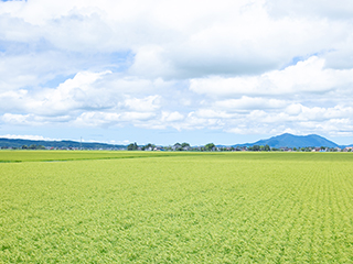 地場産業の振興