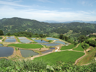 【画像】日本の原風景「山古志の棚田・棚池」