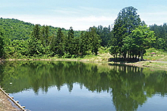 「山古志の宿　あまやちの湯」の画像8