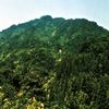「八石山登山道」の画像