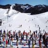 「長岡市営スキー場」の画像