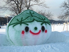 「おぐに雪まつり」の画像3