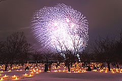 「雪あかり・長岡花火「雪花火」」の画像