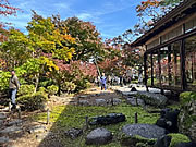 「もみじ園メインのもみじと山荘（11月8日）」の画像