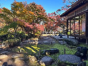 「もみじ園メインのもみじと山荘（11月12日）」の画像