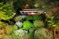 「よいた「楽山苑」ライトアップ」の画像