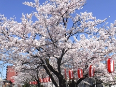 「柿川」の画像2