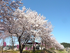 「せせらぎ公園」の画像2
