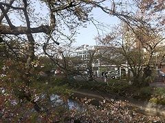 「福島江」の画像1