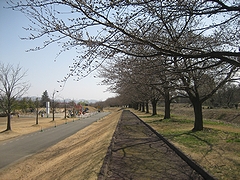 「越路河川公園」の画像1