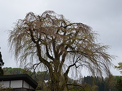 「栗山沢」の画像1