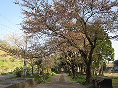 「妙法寺」の画像1