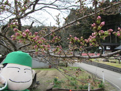 「妙法寺」の画像2