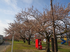 「河川緑地たちばな公園」の画像1