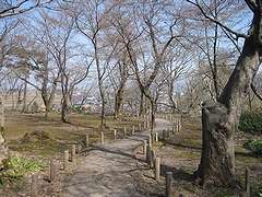 「巴ヶ丘」の画像1