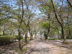 「巴ヶ丘」の画像1