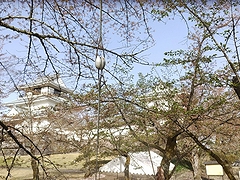 「悠久山公園」の画像1