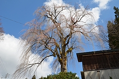 「栗山沢」の画像1