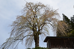 「栗山沢」の画像1