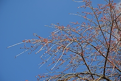 「栗山沢」の画像2