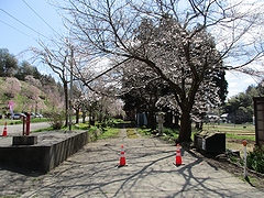 「妙法寺」の画像1