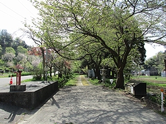 「妙法寺」の画像1