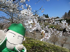 「良寛の里美術館」の画像2