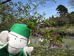 「良寛の里美術館」の画像2